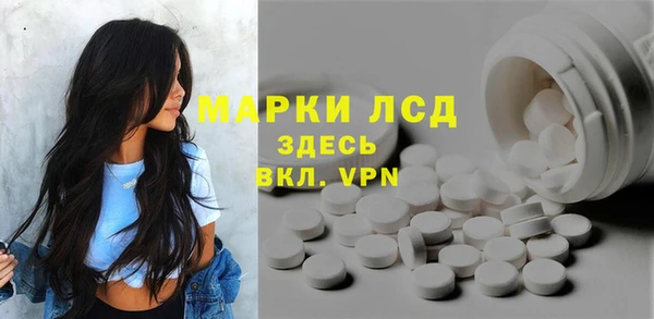 метадон Богданович