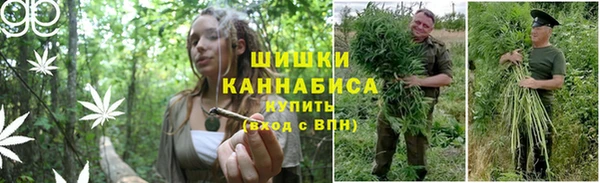 метадон Богданович