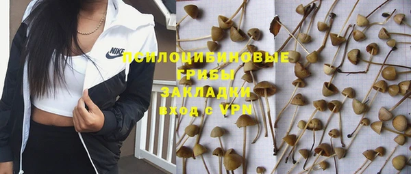 метадон Богданович