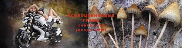 мефедрон мука Богородицк
