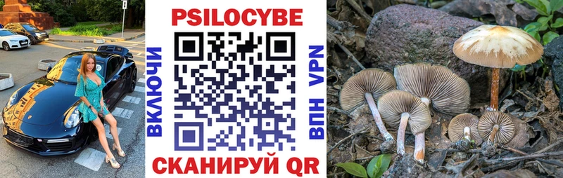 купить   Дубовка  mega tor  Псилоцибиновые грибы мухоморы 